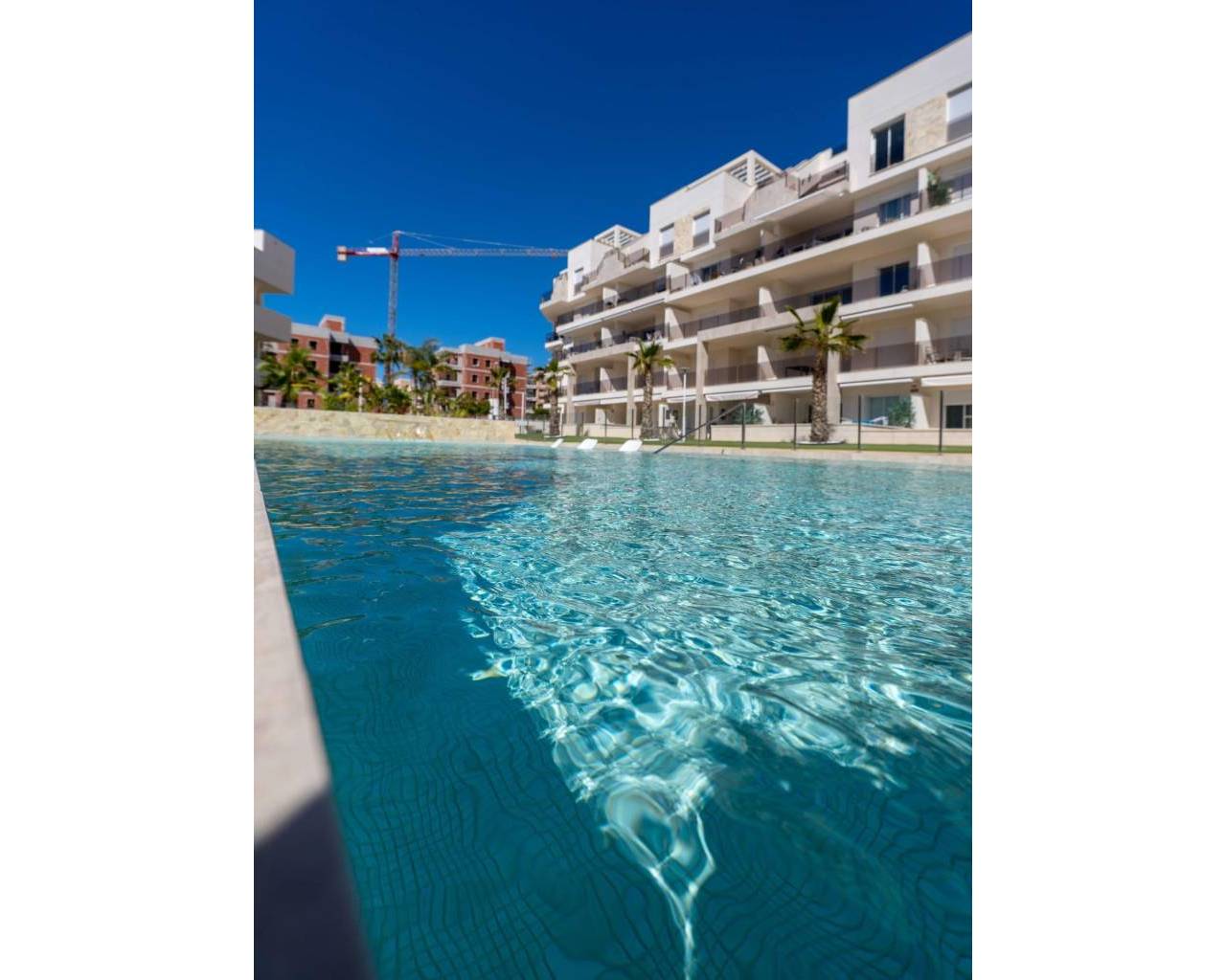 Apartamento - Nueva construcción  - Guardamar del Segura - El Raso