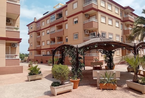 Apartamento - Reventa - Algorfa - Algorfa