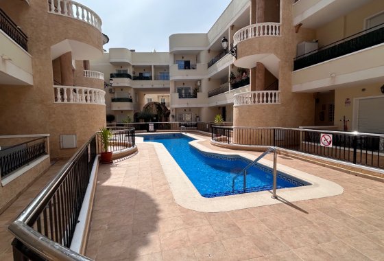 Apartamento - Reventa - Jacarilla - Jacarilla