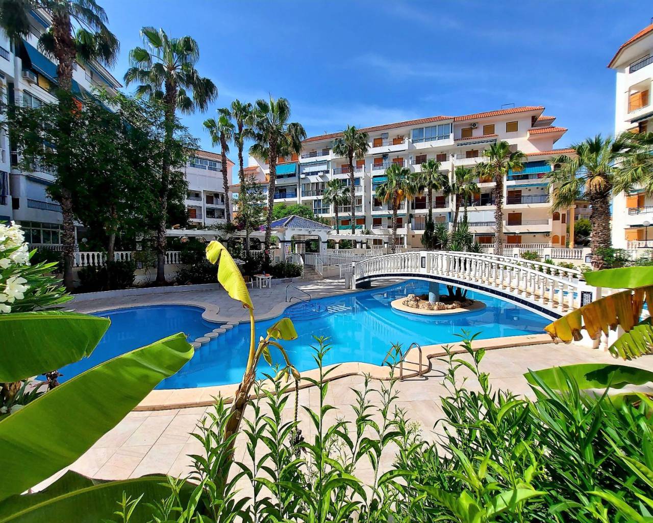 Apartamento - Reventa - Torrevieja - PLPR053