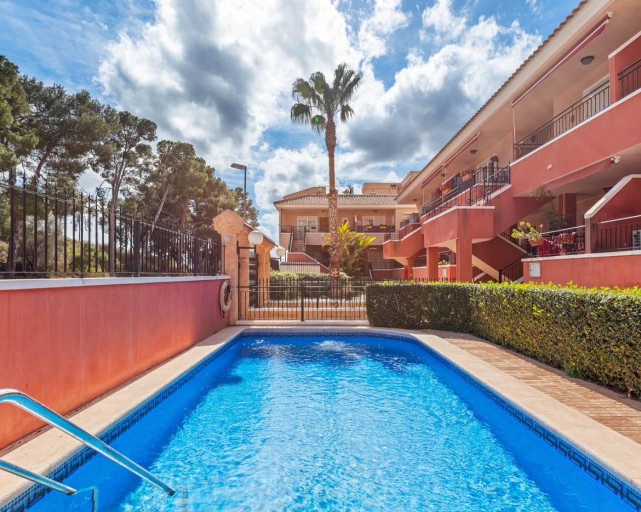 Apartment - Re-Sale - Orihuela - Orihuela