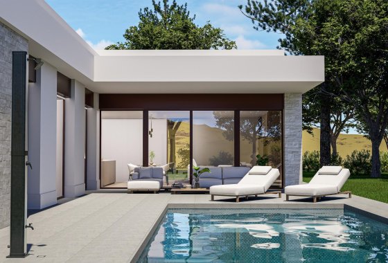 Chalet Independiente - Nueva construcción  - Pinoso - Lel