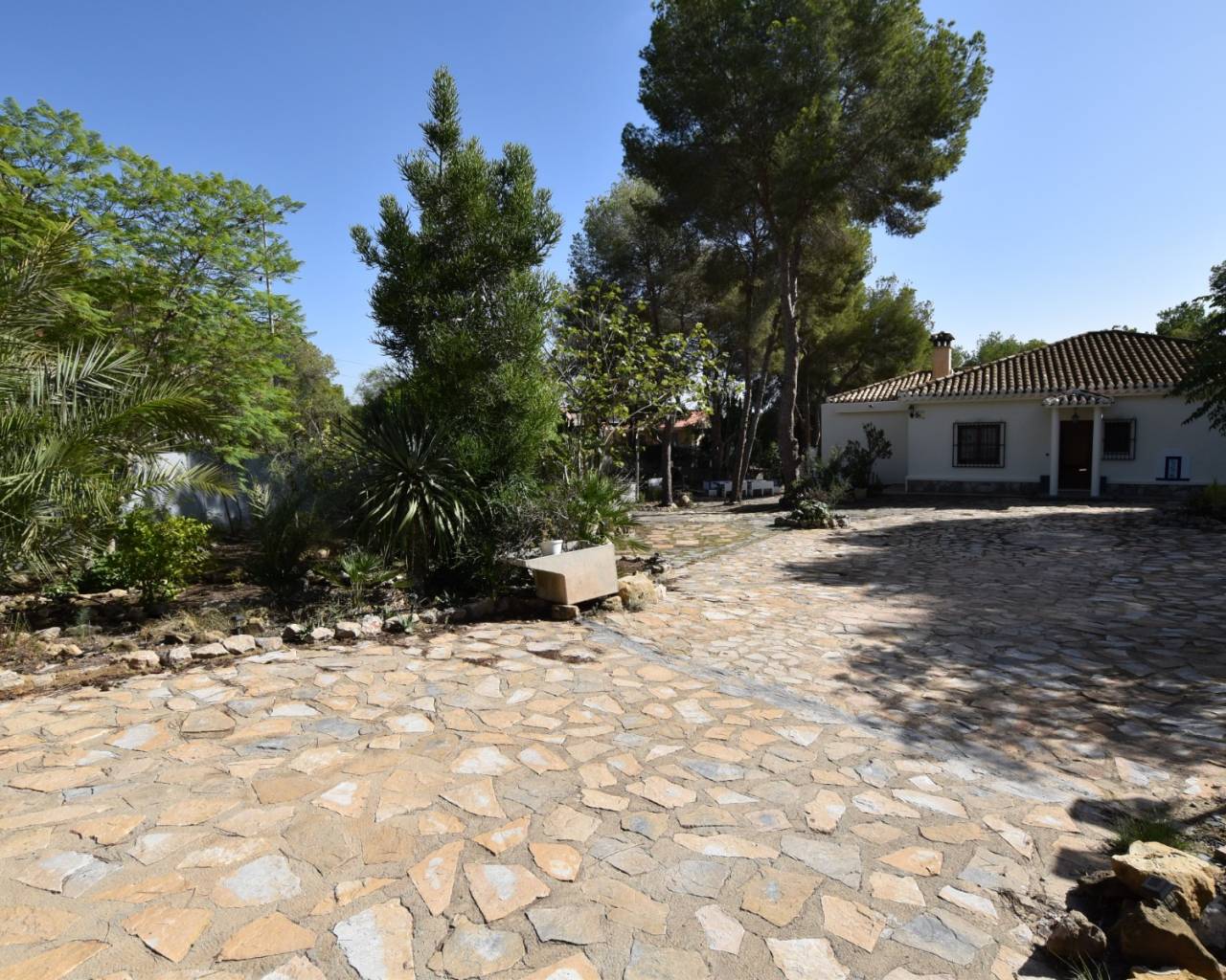 Finca - Re-Sale - Algorfa - Montemar