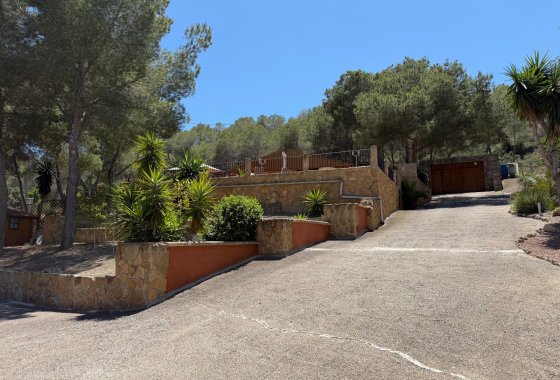Finca - Reventa - Orihuela - Orihuela