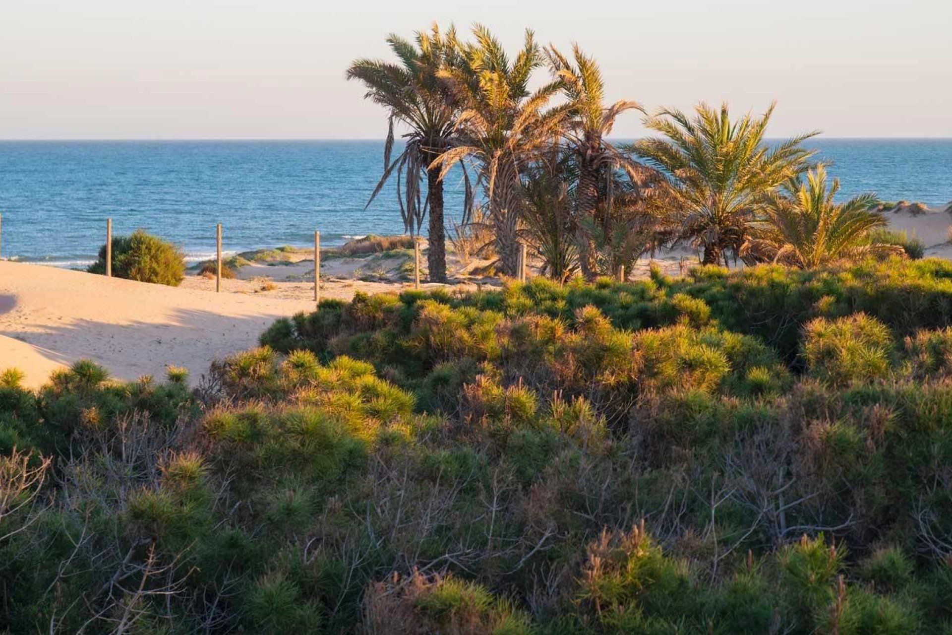 New Build - Apartment - Guardamar del Segura - Avda del Puerto