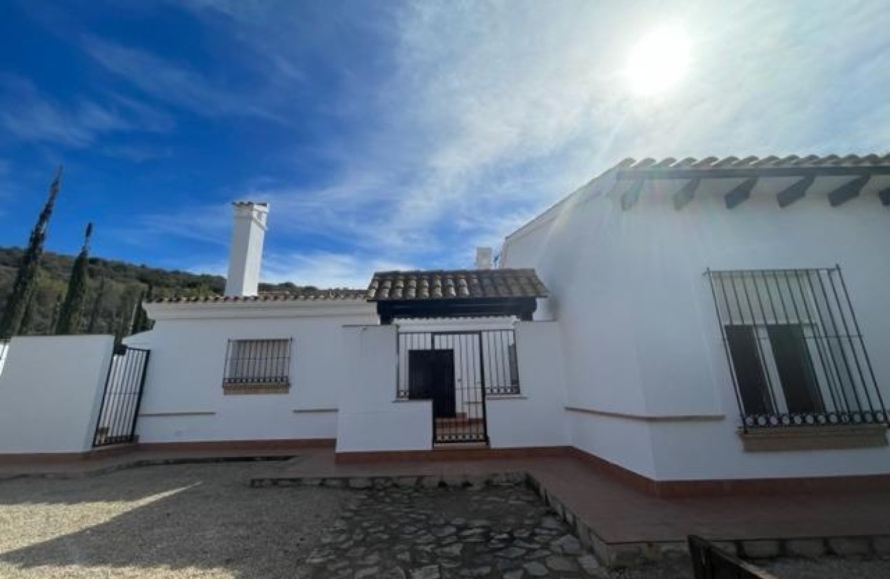 New Build - Detached Villa - Fuente Álamo - Las Palas