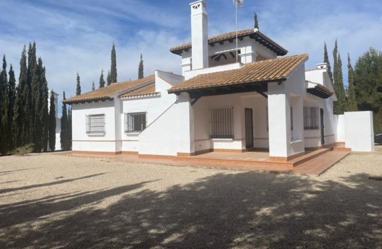 New Build - Detached Villa - Fuente Álamo - Las Palas