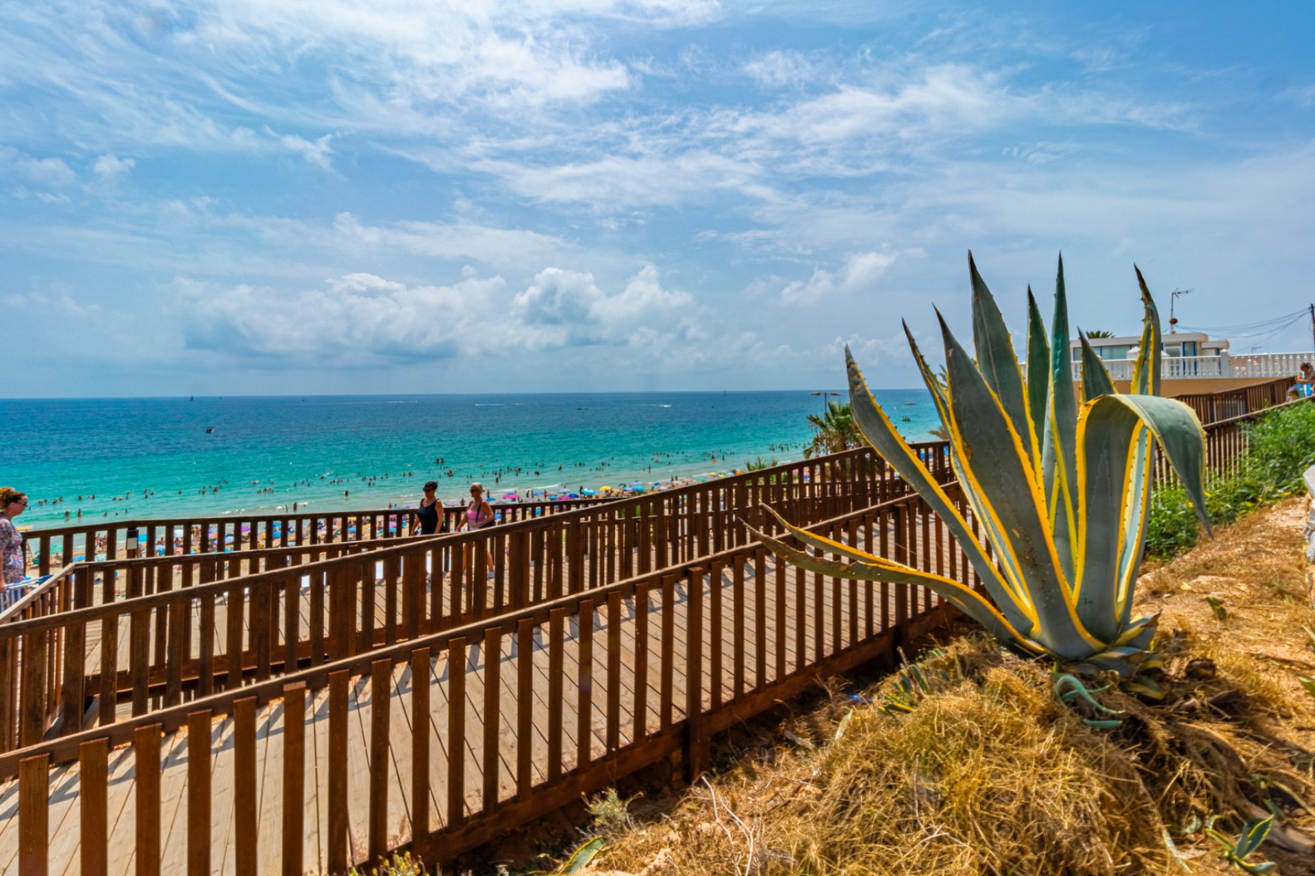 New Build - Detached Villa - La Zenia