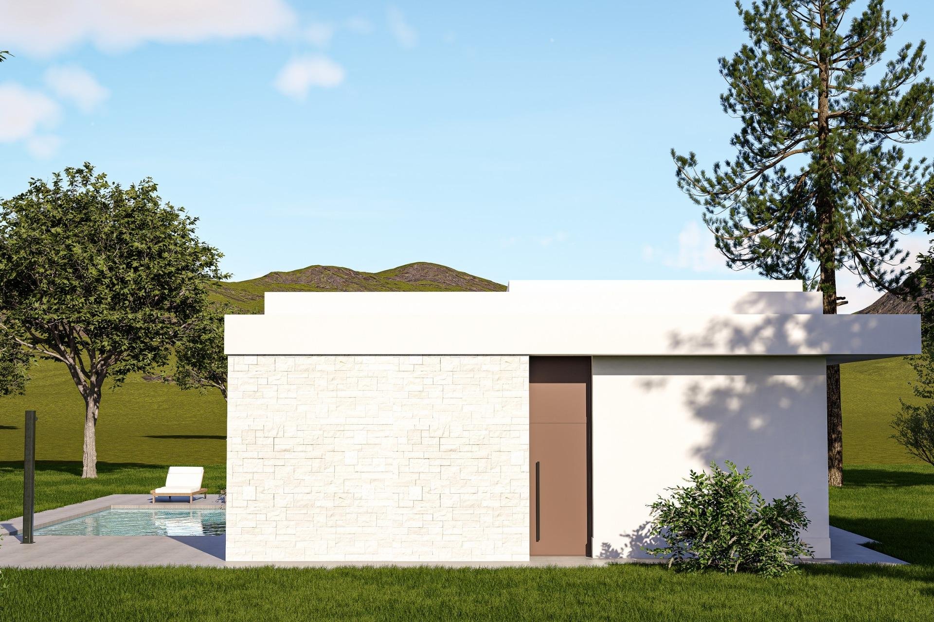 New Build - Detached Villa - Pinoso - Lel
