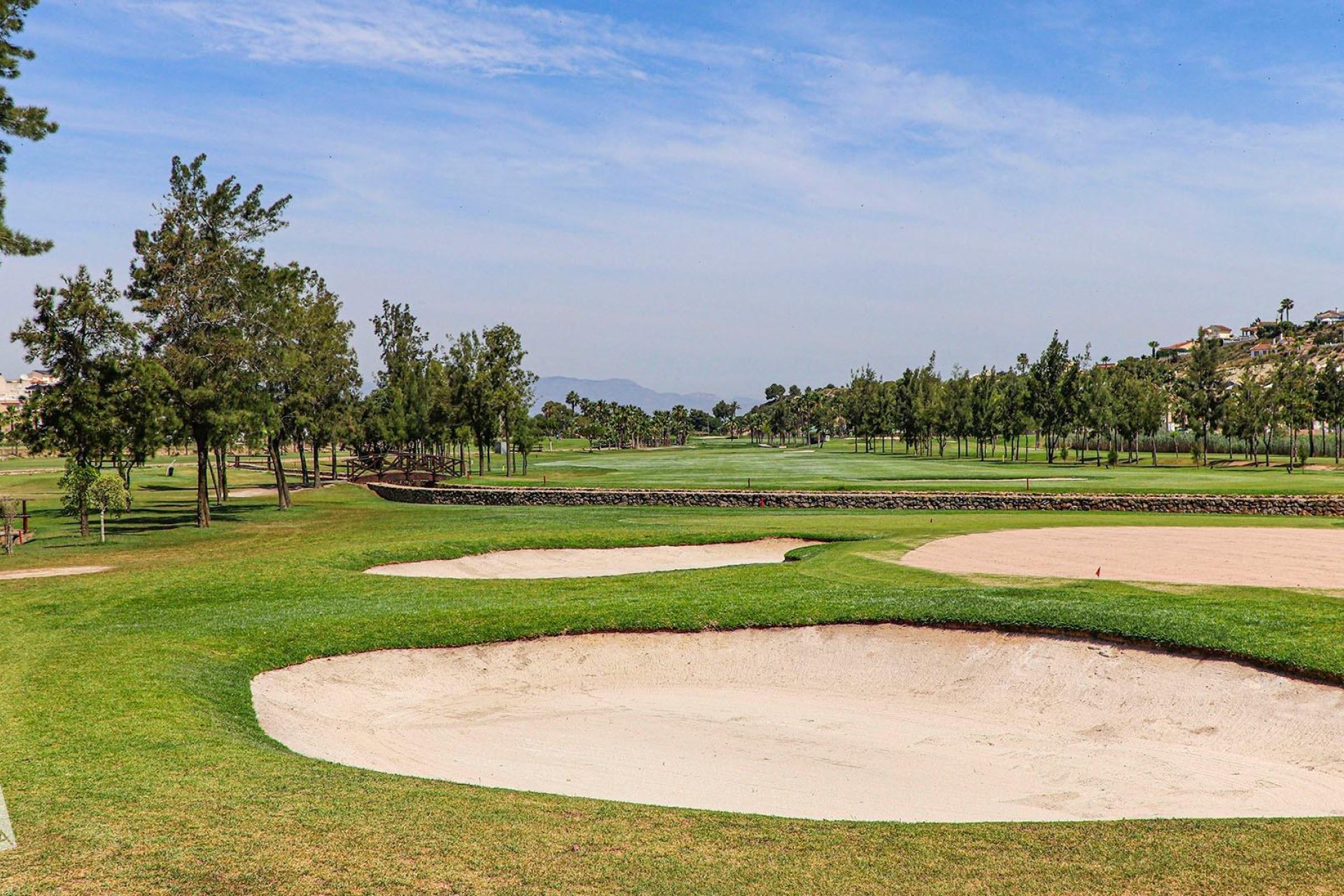 New Build - Detached Villa - Rojales - Ciudad Quesada