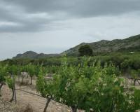 New Build - Detached Villa - Yecla