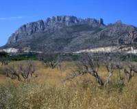 Nueva construcción  - Apartamento - Denia - El Verger