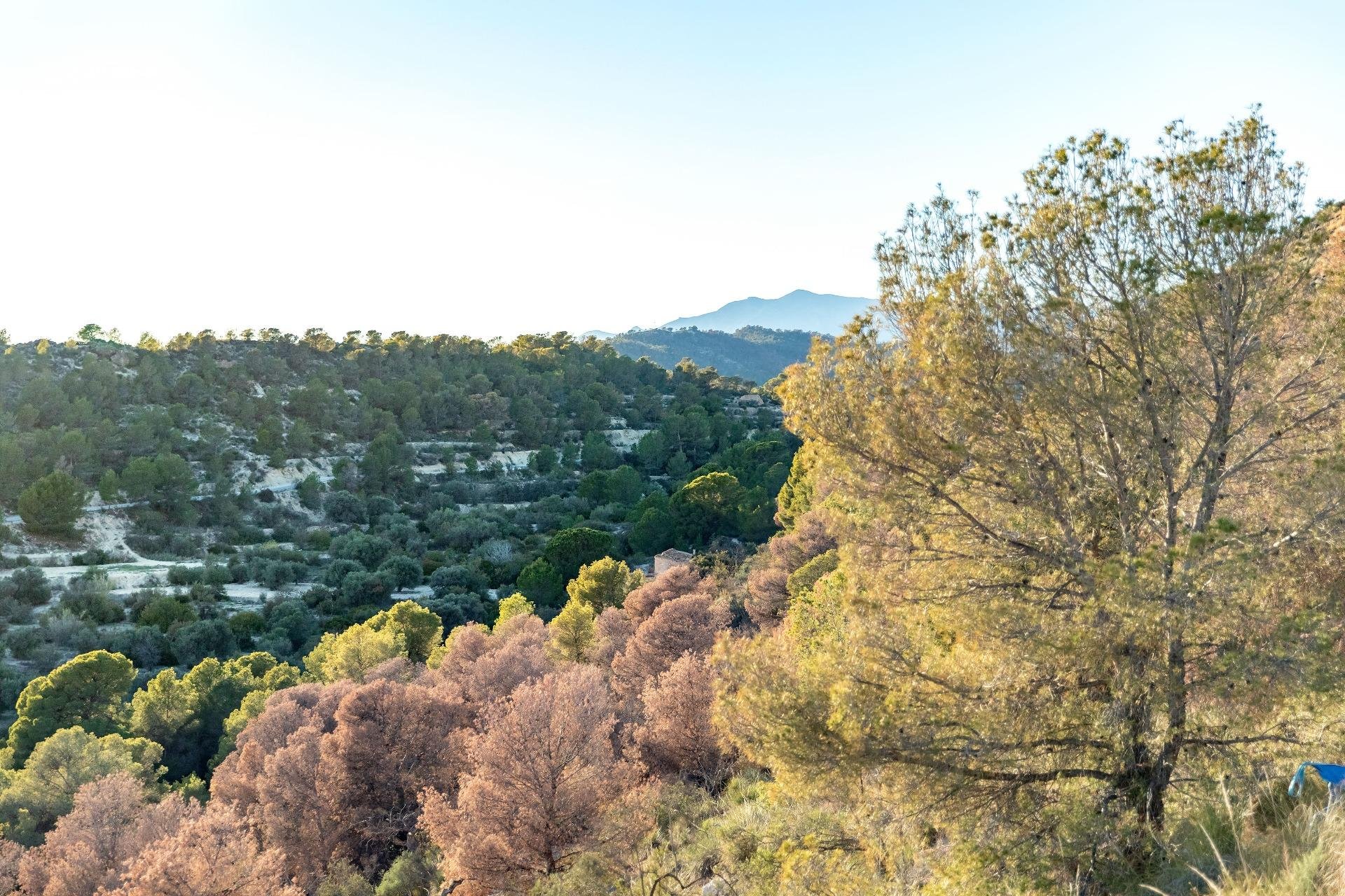 Nueva construcción  - Apartamento - Finestrat - Balcón De Finestrat