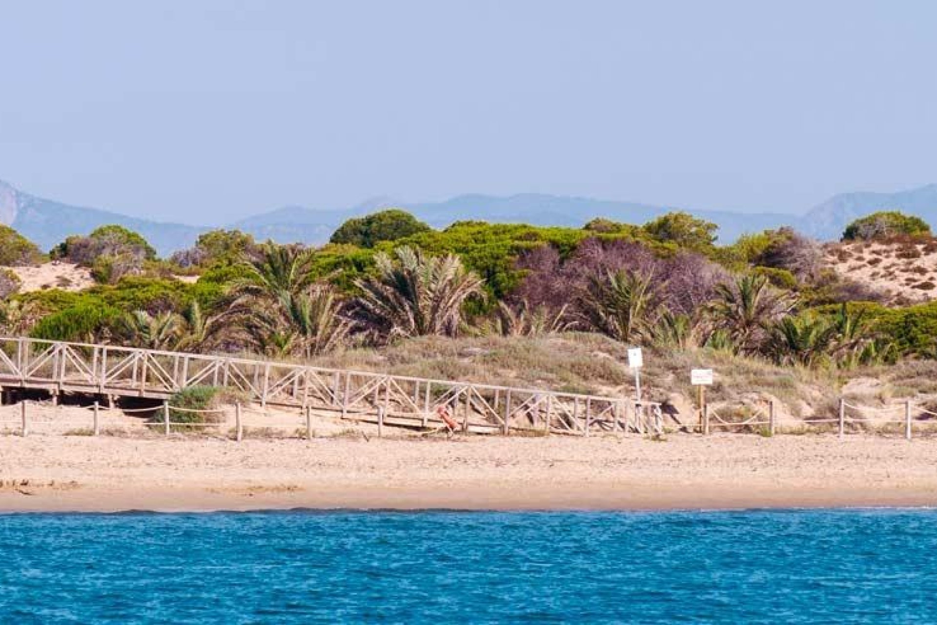 Nueva construcción  - Apartamento - Guardamar del Segura - Pueblo