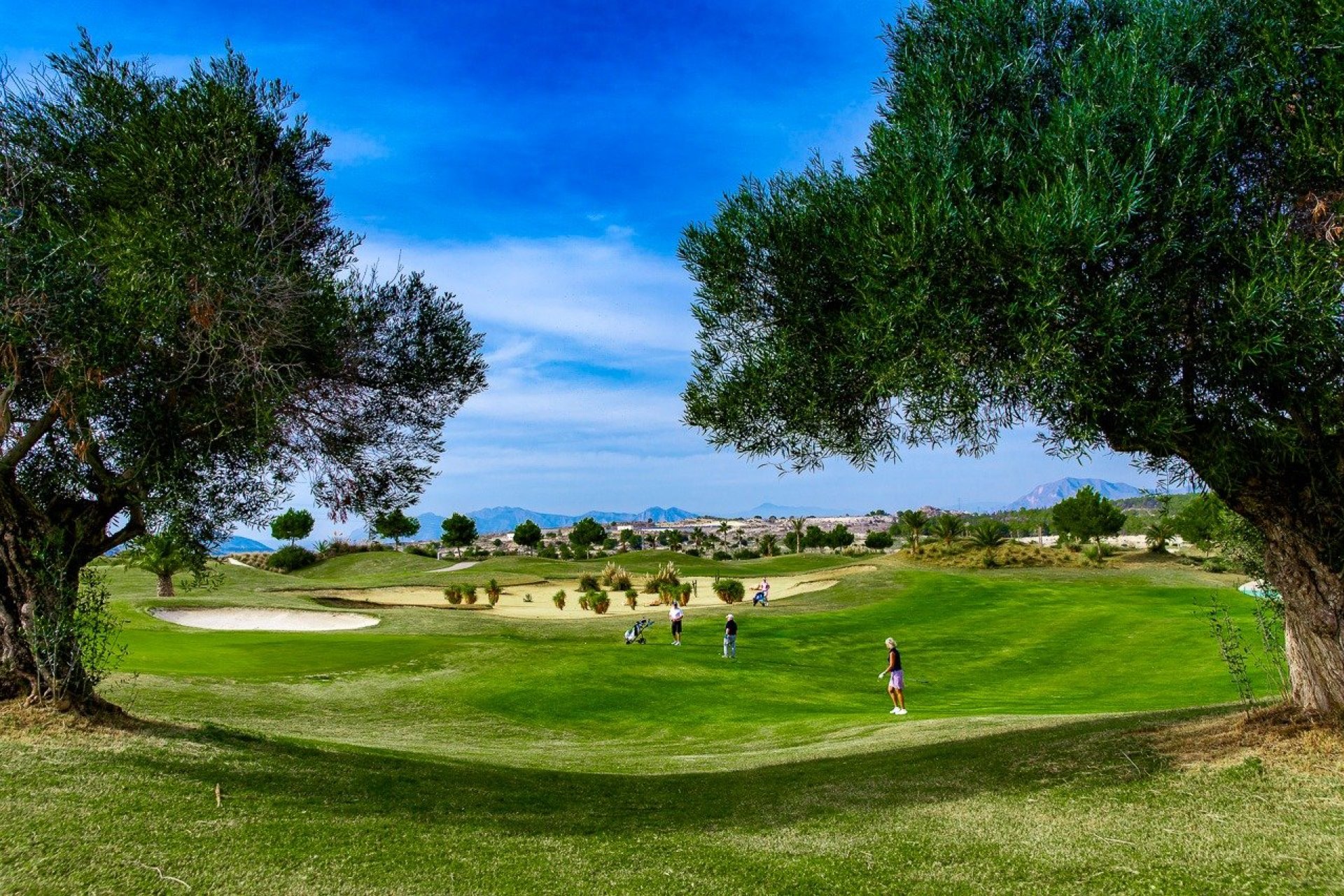 Nueva construcción  - Bungalow - Orihuela - Vistabella Golf