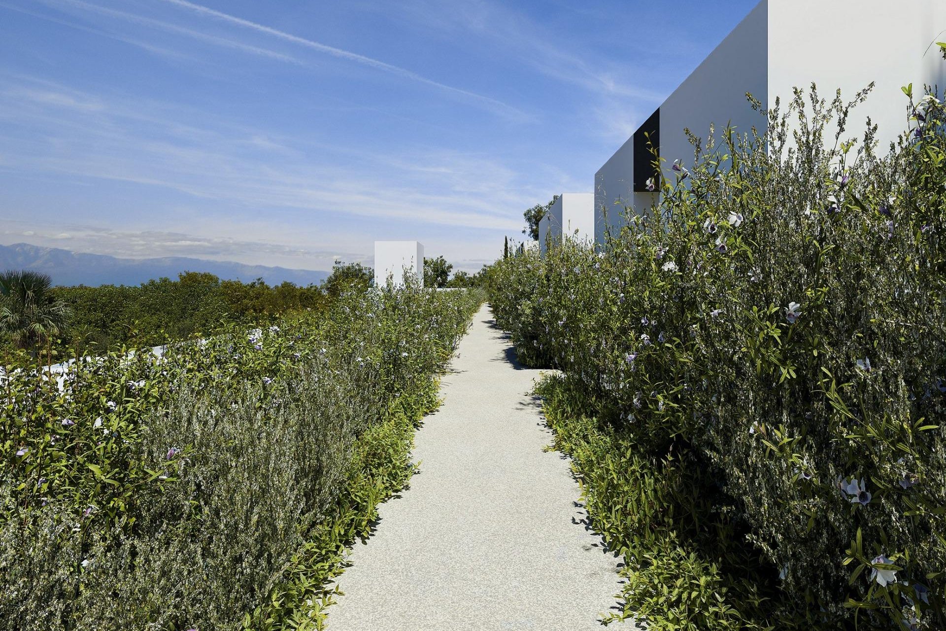 Nueva construcción  - Chalet Independiente - Alfas del Pí - Barranc Fondo