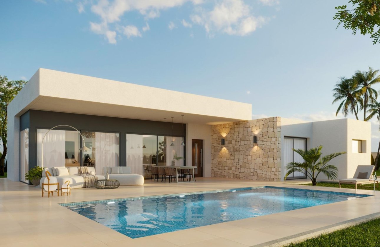 Nueva construcción  - Chalet Independiente - Aspe - Poligono 19