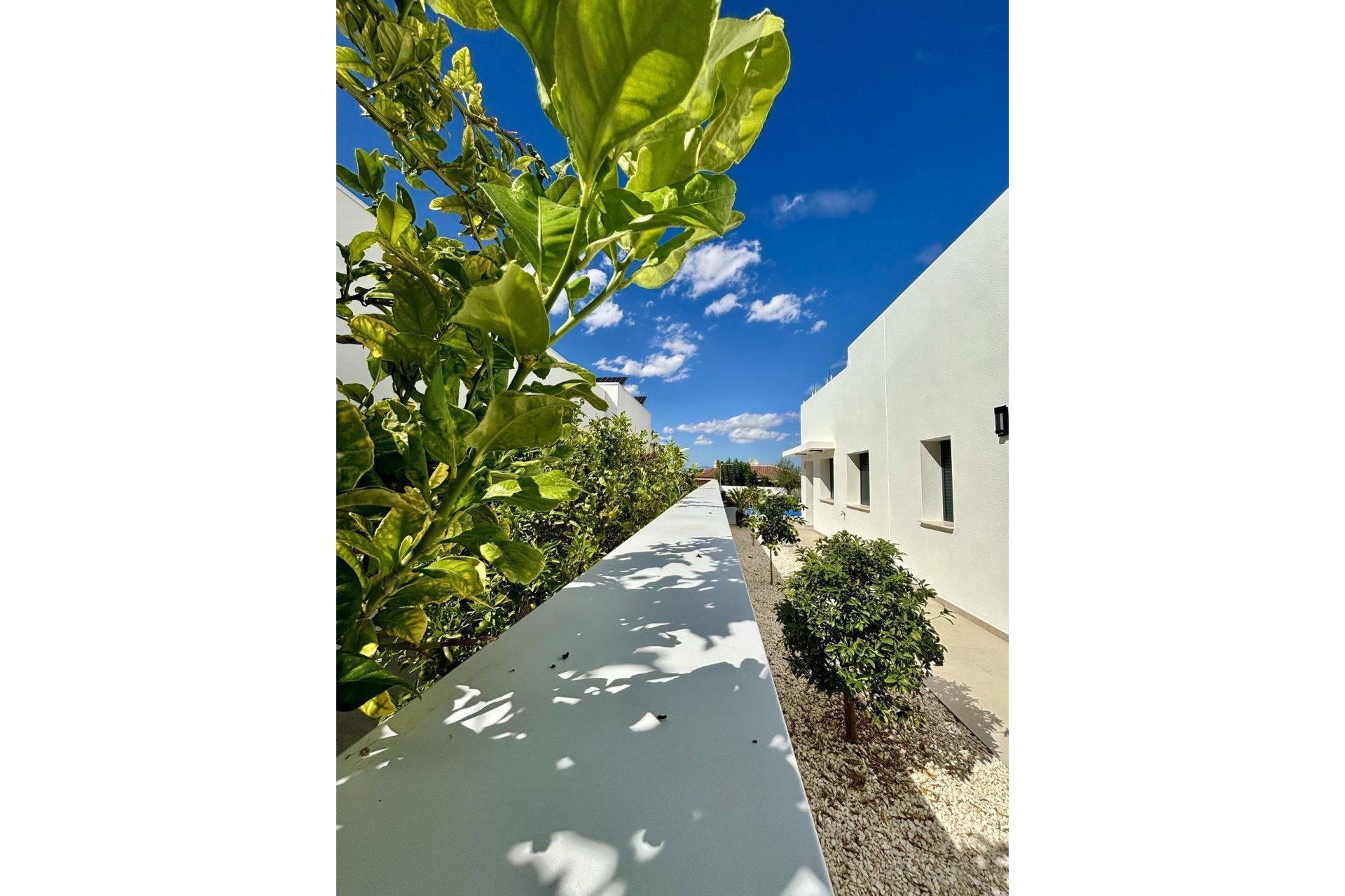 Nueva construcción  - Chalet Independiente - Benijofar