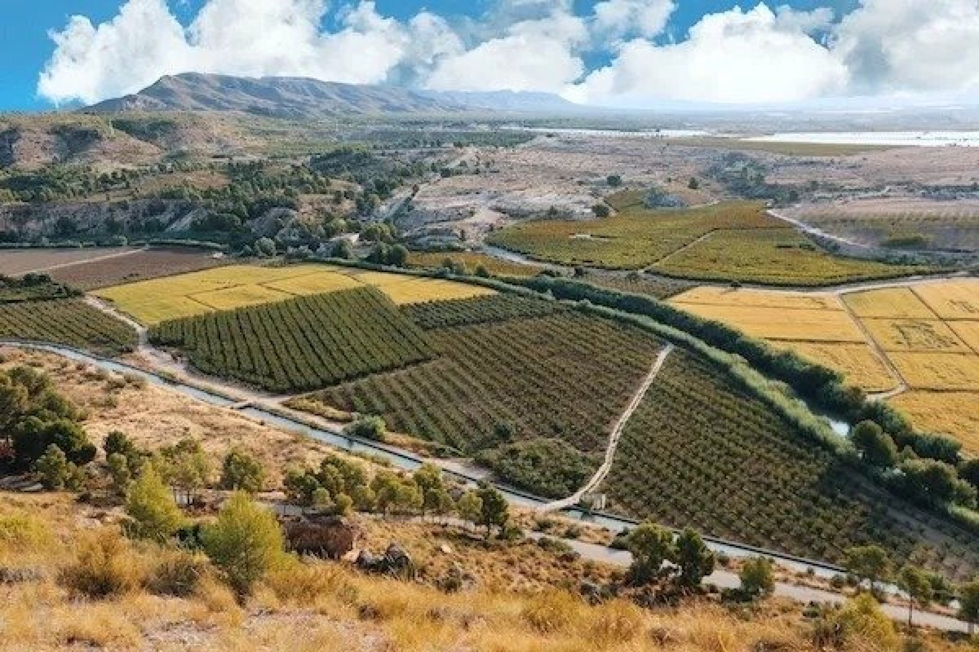 Nueva construcción  - Chalet Independiente - Calasparra - Coto Riñales