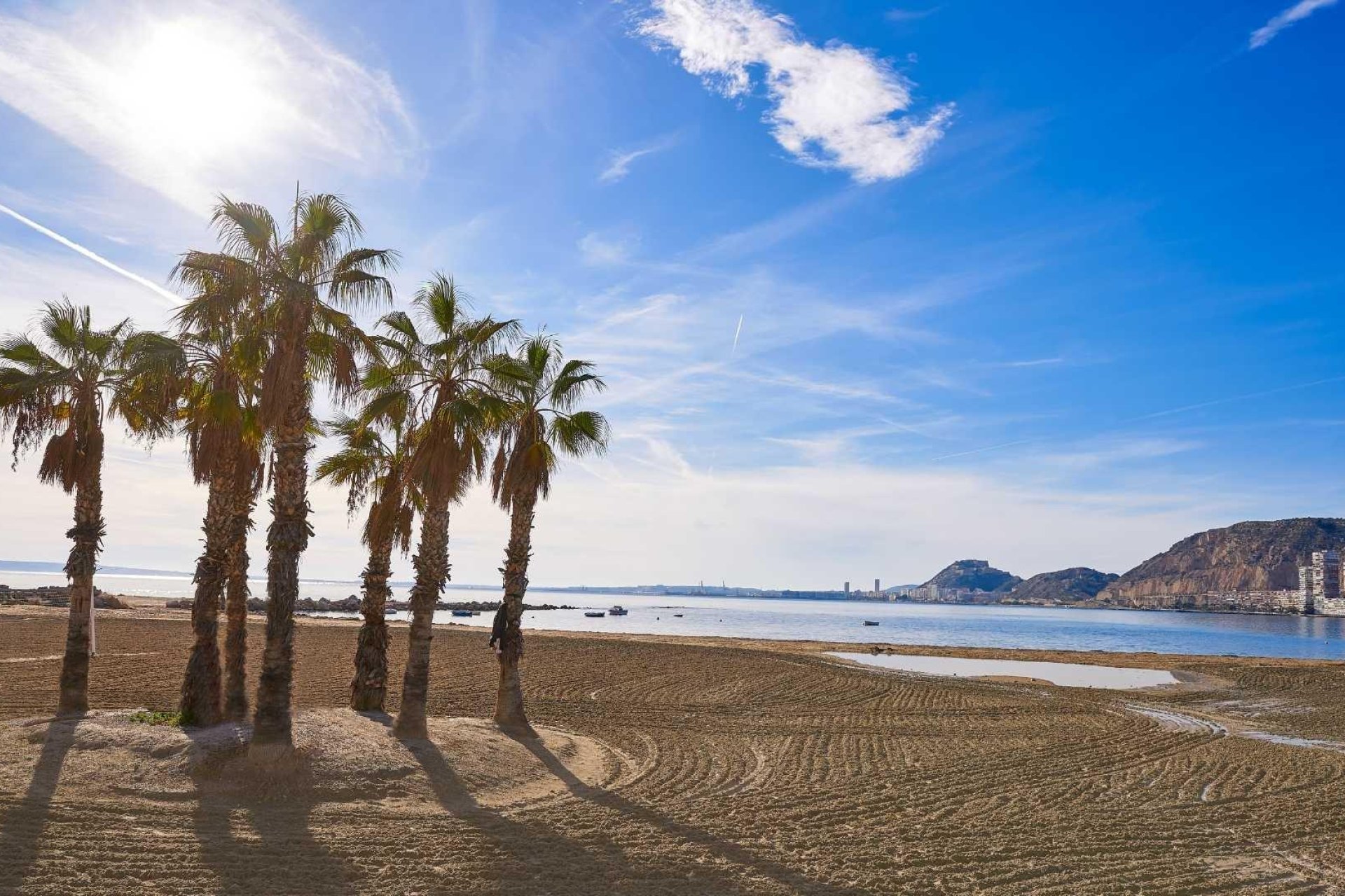 Nueva construcción  - Chalet Independiente - Els Poblets - Partida Barranquets