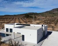 Nueva construcción  - Chalet Independiente - Pinoso - Lel