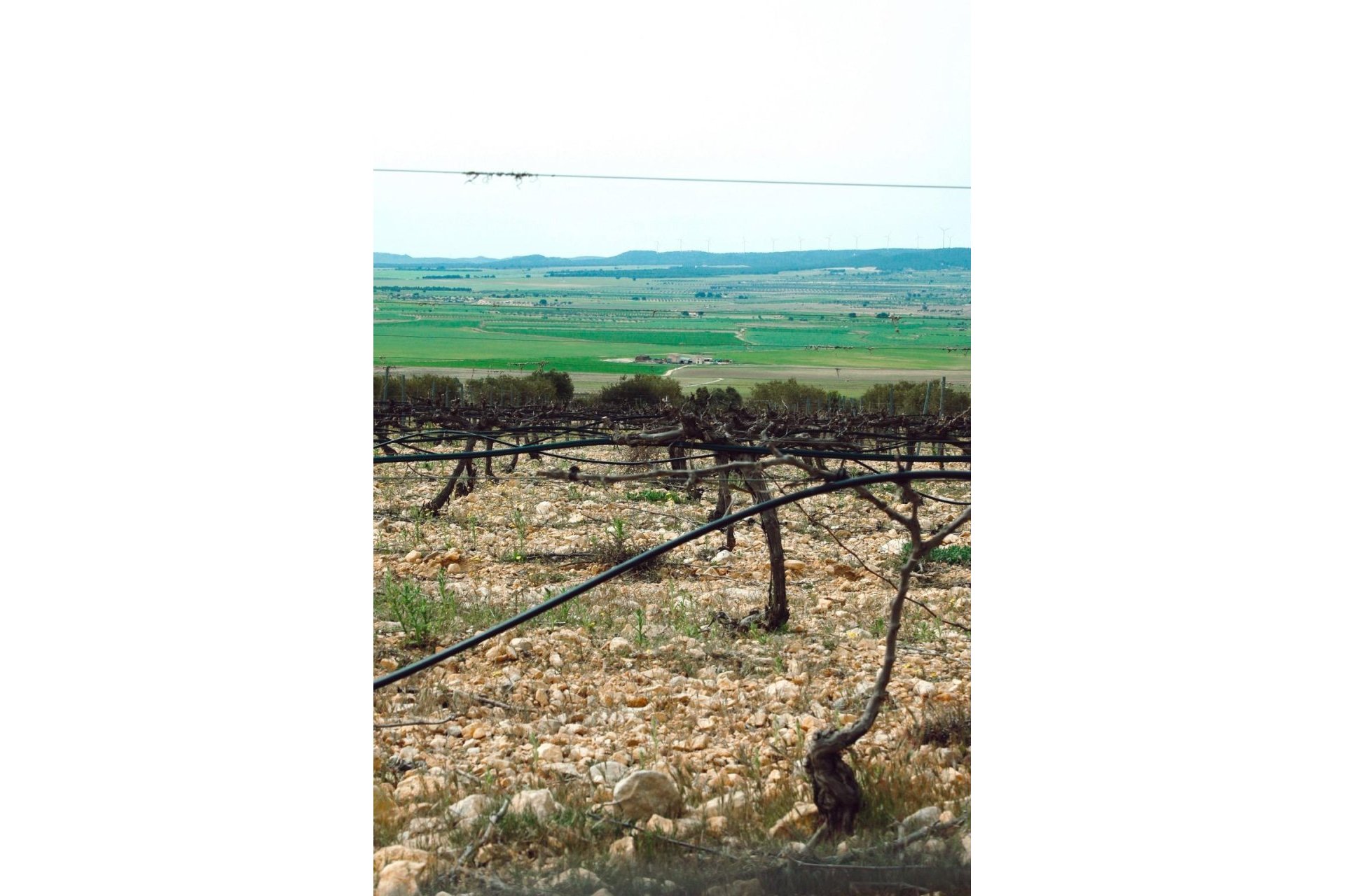 Nueva construcción  - Chalet Independiente - Yecla