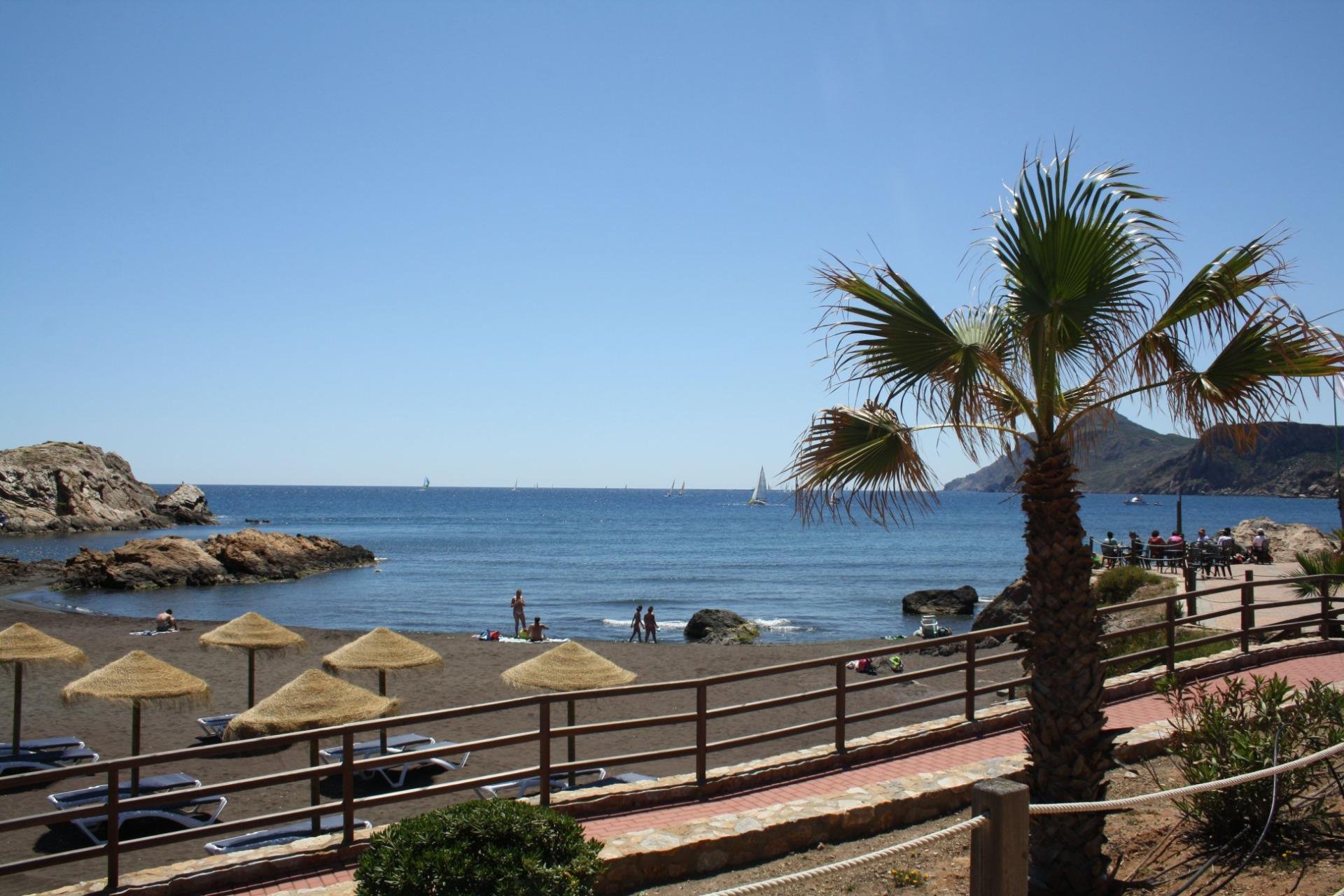 Nueva construcción  - Duplex - La Union - centro