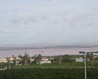 Nueva construcción  - Duplex - Torrevieja - Los Altos