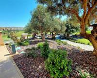 Re-Sale - Apartment - Algorfa