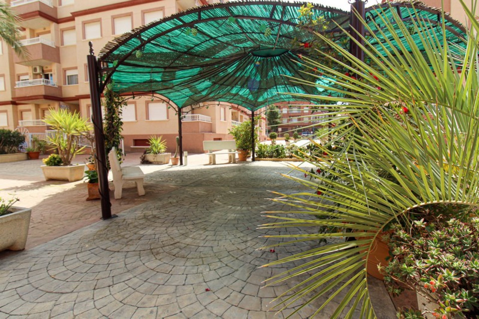 Re-Sale - Apartment - Algorfa