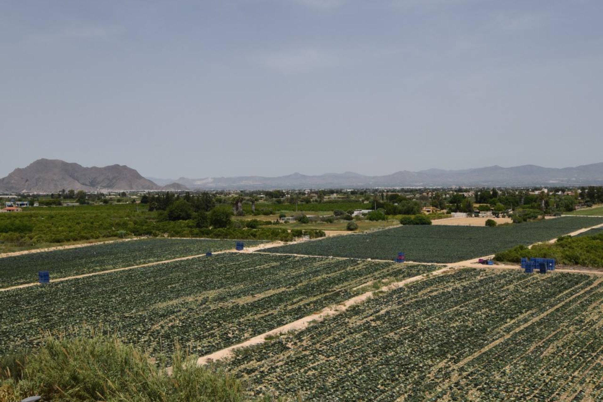 Re-Sale - Apartment - Algorfa