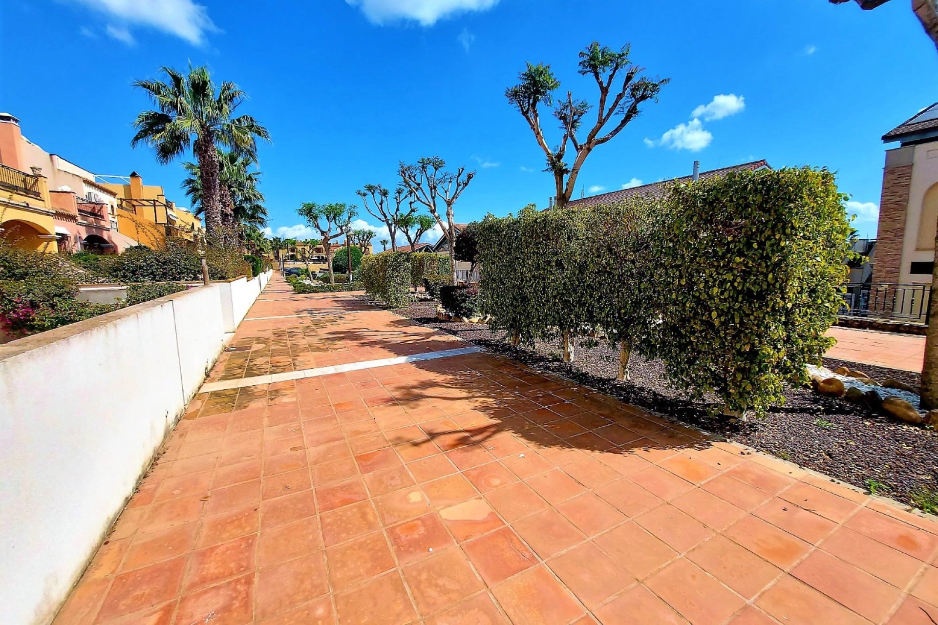 Re-Sale - Apartment - Algorfa