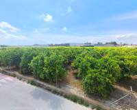 Re-Sale - Apartment - Benejúzar