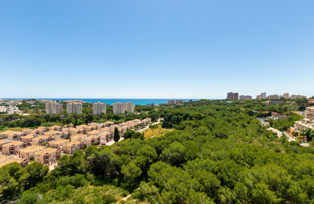 Re-Sale - Apartment - Campoamor - Dehesa de Campoamor