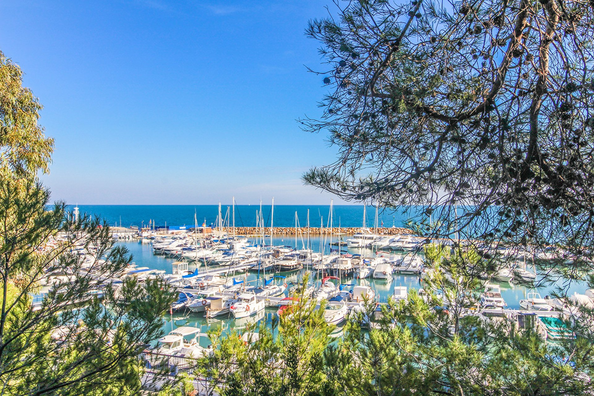 Re-Sale - Apartment - Campoamor - Dehesa de Campoamor