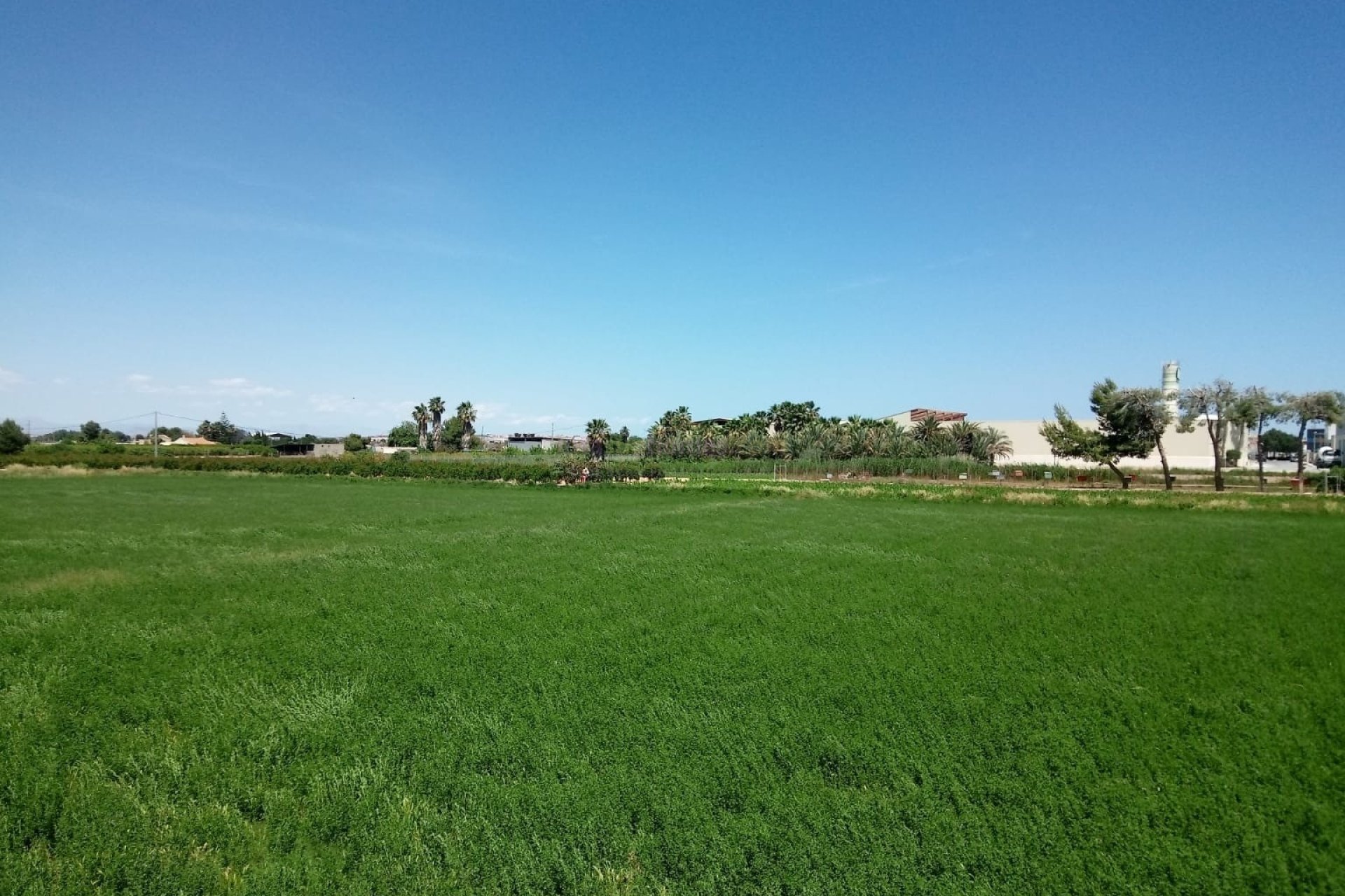 Re-Sale - Apartment - Formentera del Segura