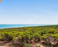 Re-Sale - Apartment - Guardamar del Segura