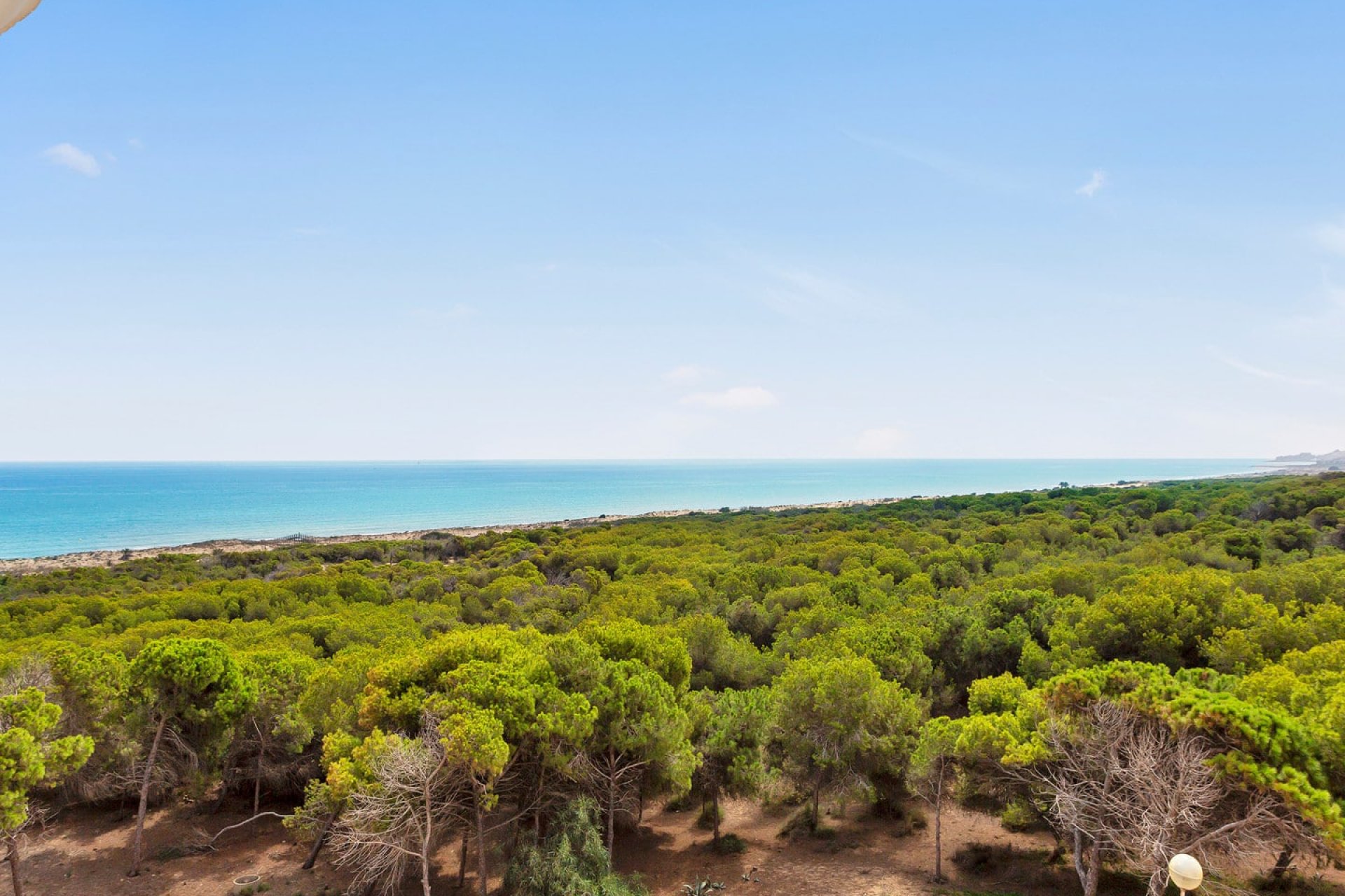 Re-Sale - Apartment - Guardamar del Segura