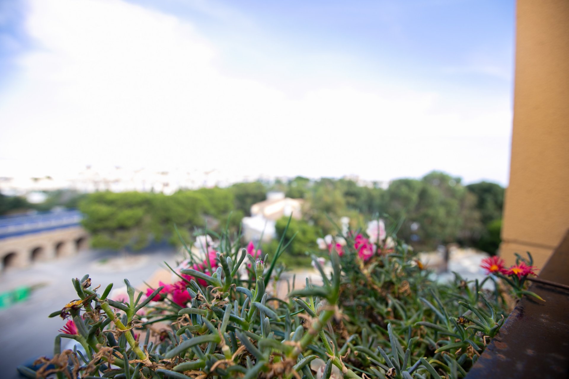 Re-Sale - Apartment - La Zenia - Beach