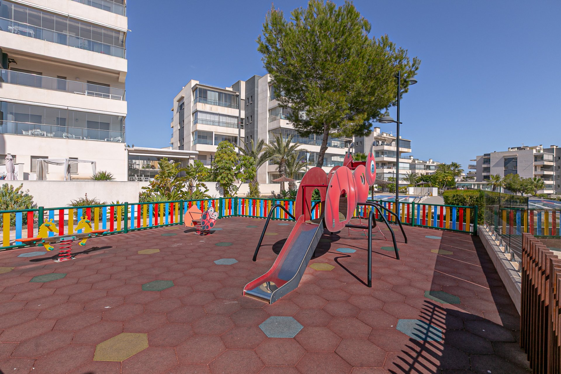 Re-Sale - Apartment - Los Dolses - Pimienta