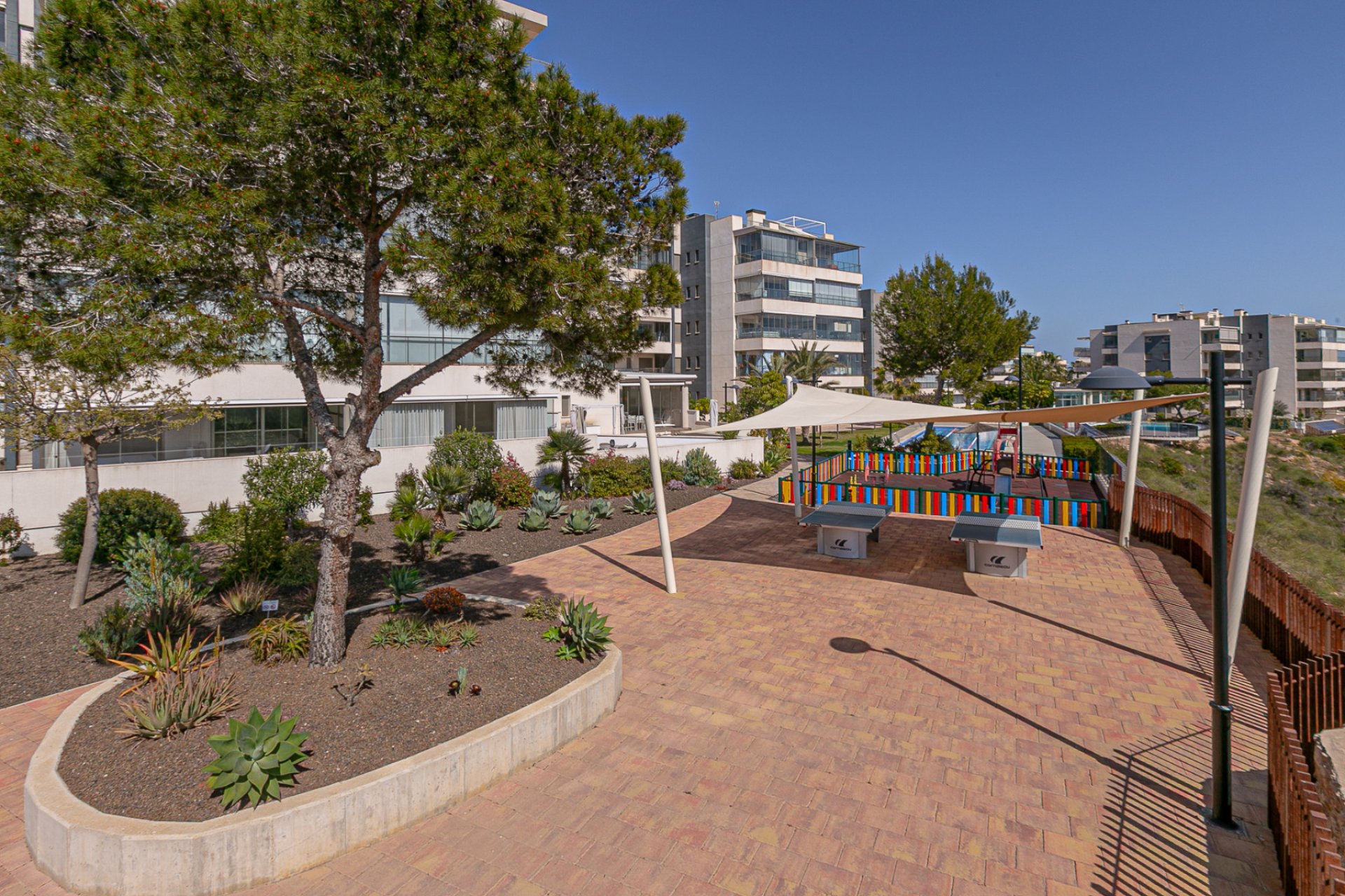 Re-Sale - Apartment - Los Dolses - Pimienta