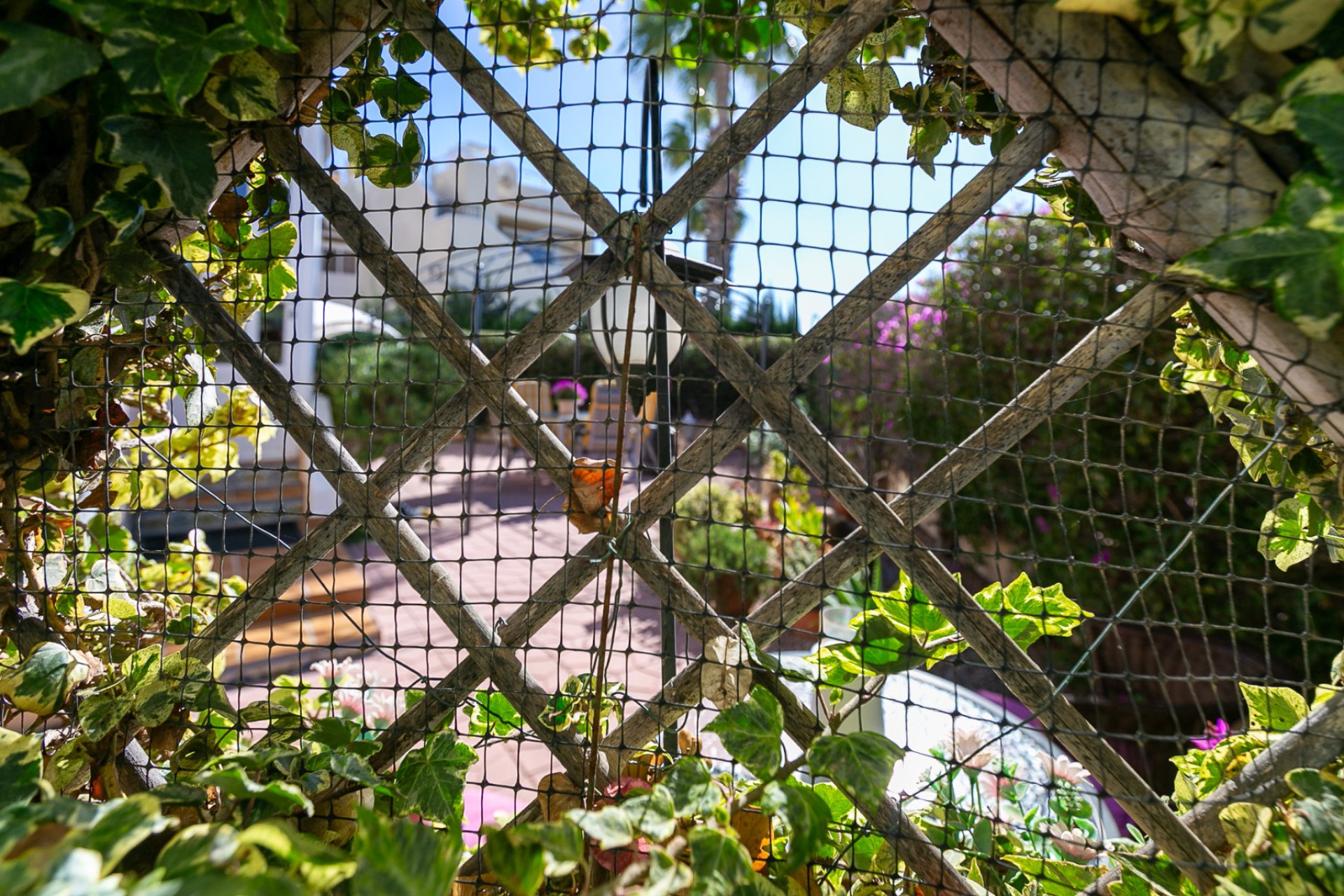 Re-Sale - Apartment - Playa Flamenca - Orihuela Costa