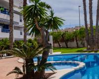 Re-Sale - Apartment - Playa Flamenca - Orihuela Costa