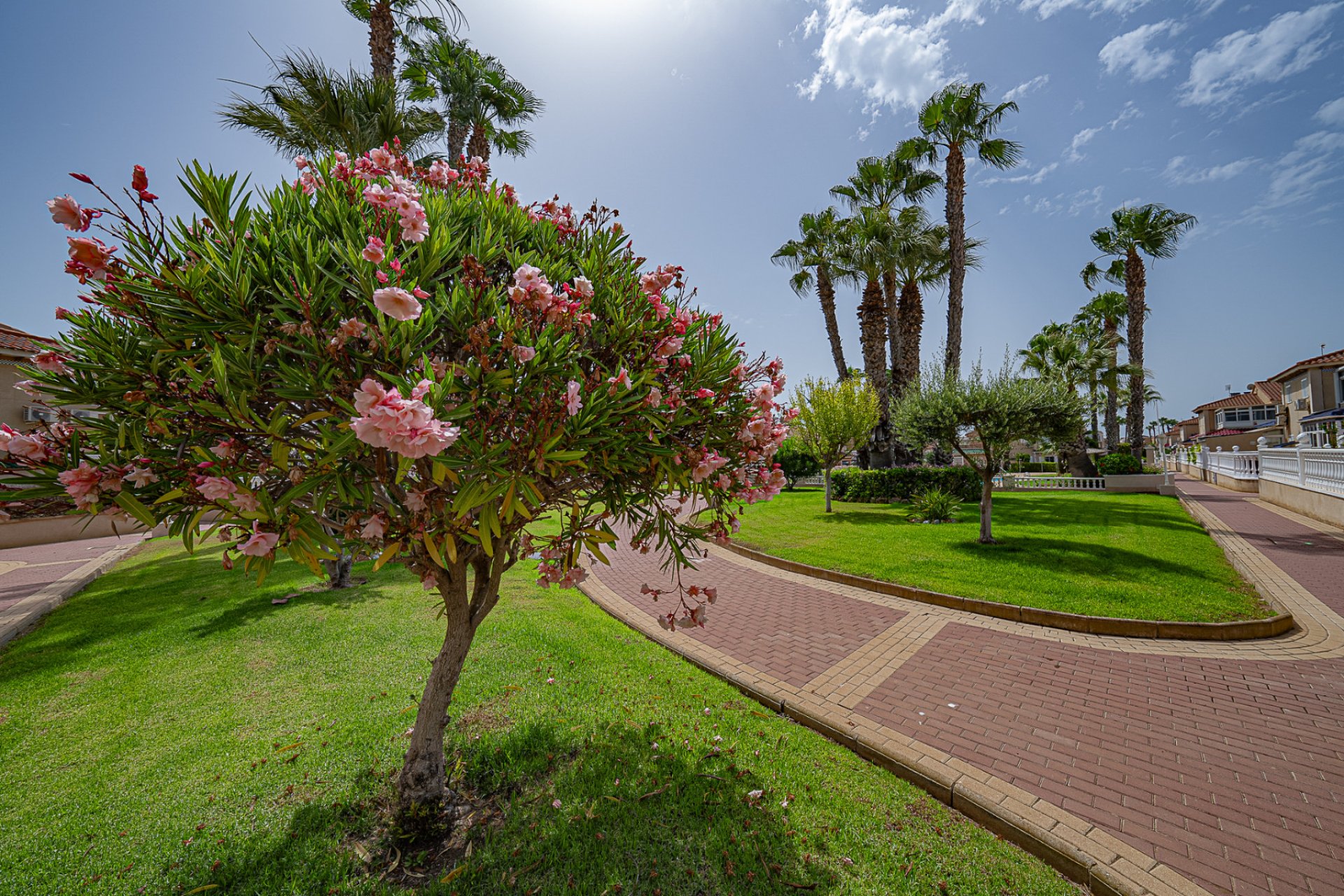 Re-Sale - Apartment - Playa Flamenca - Zenia Mar