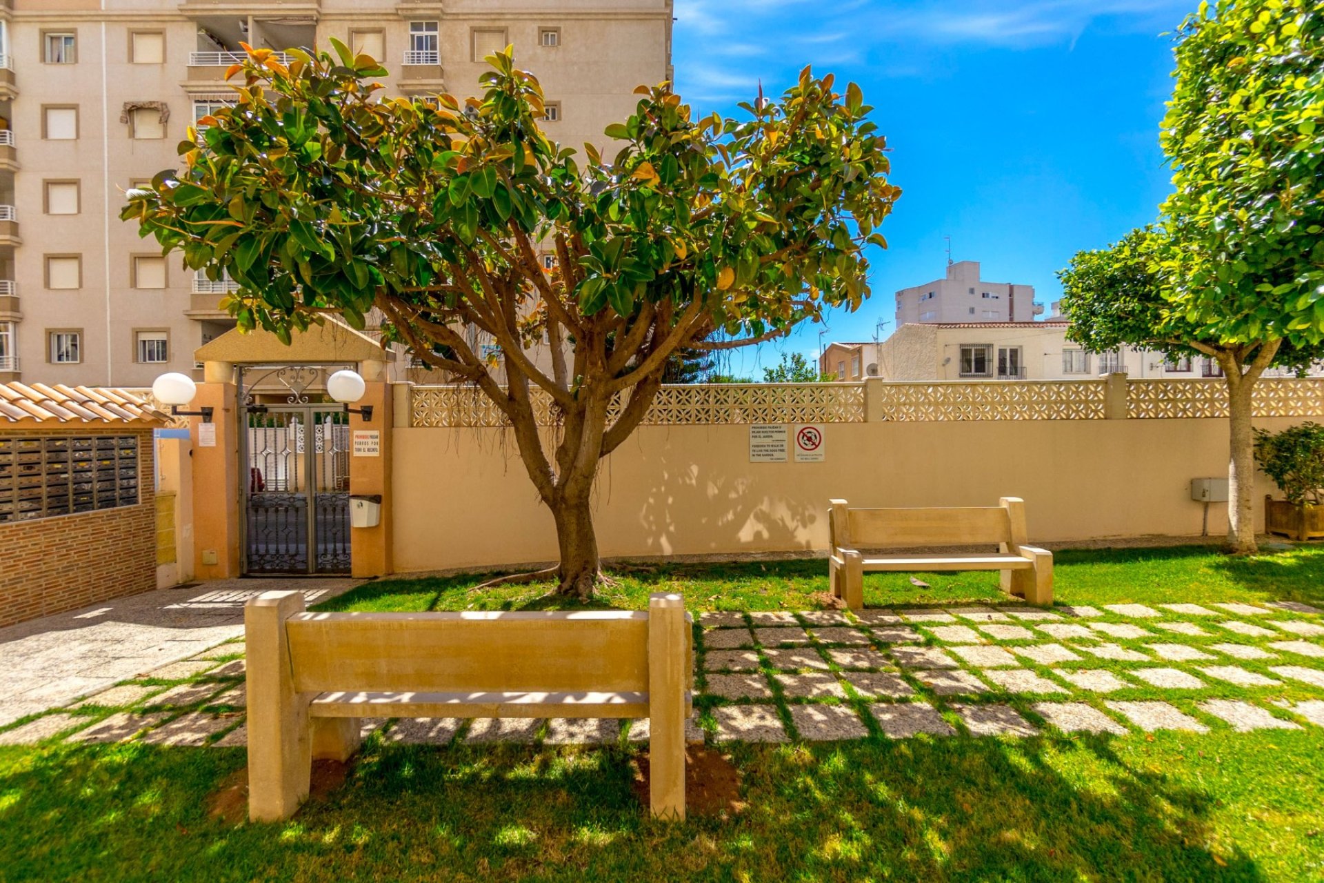Re-Sale - Apartment - Torrevieja - Centro