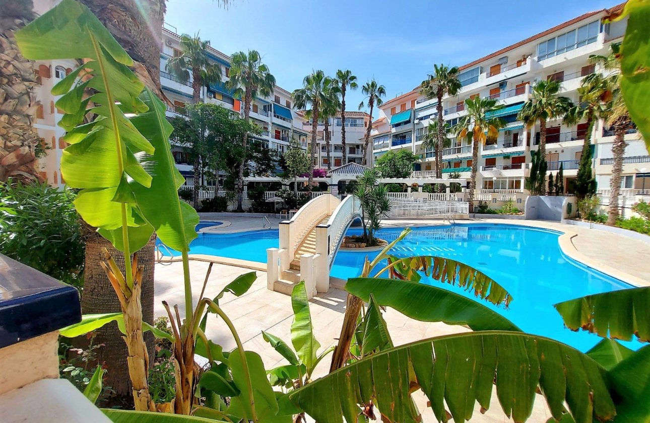 Re-Sale - Apartment - Torrevieja - La Mata