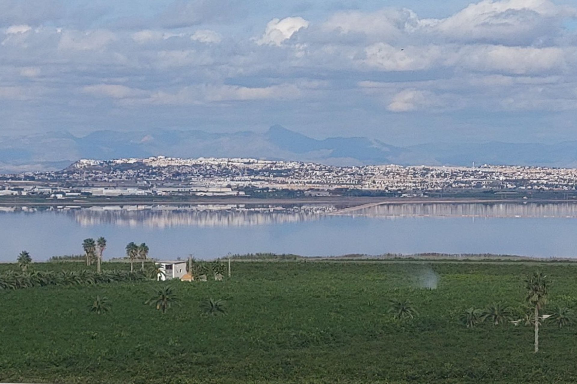 Re-Sale - Apartment - Torrevieja - Los Balcones