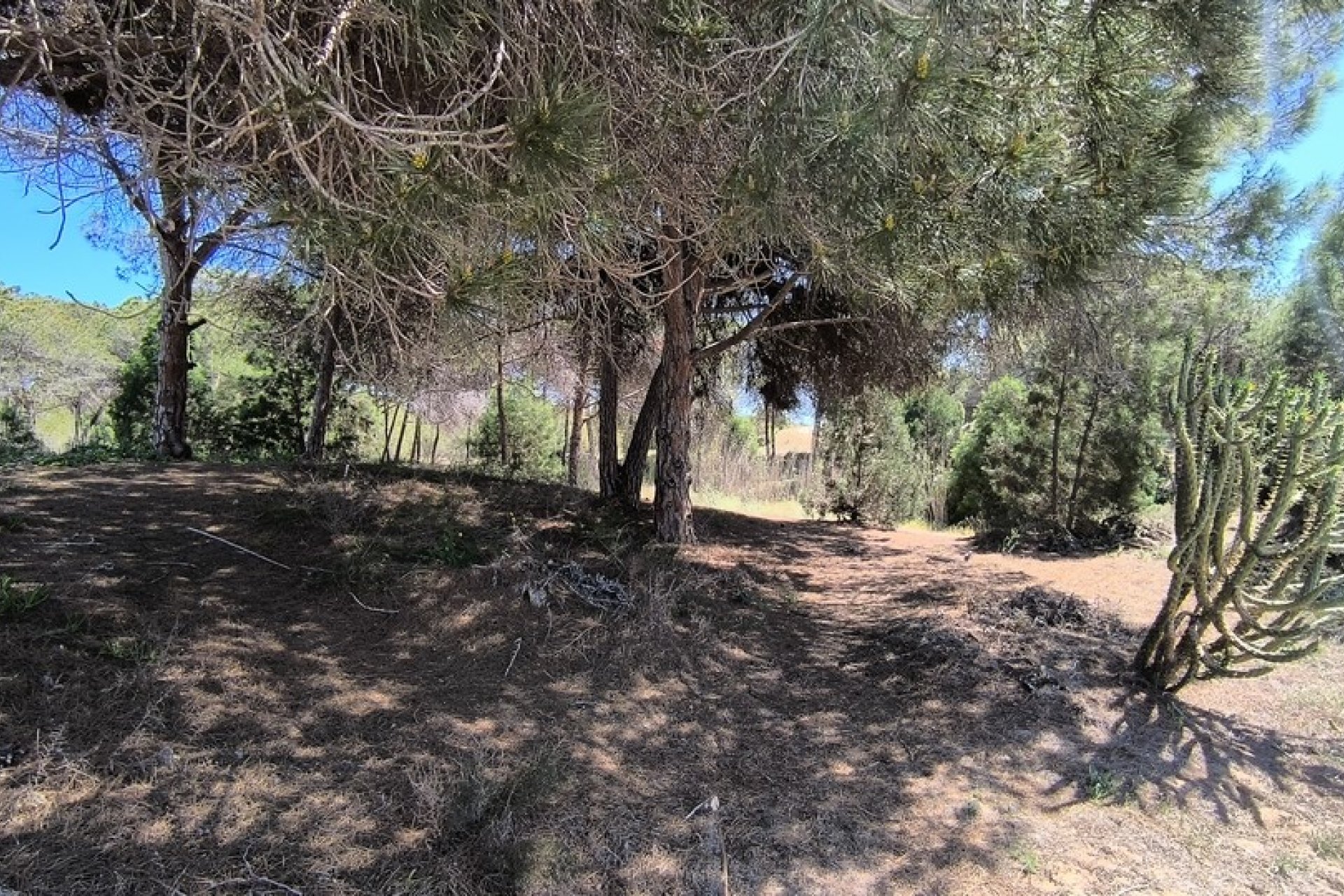 Re-Sale - Bungalow - Guardamar del Segura - Urbanizaciones