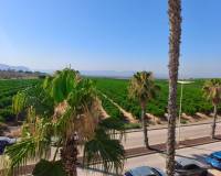 Re-Sale - Detached Villa - Algorfa - La Finca Golf