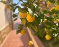 Re-Sale - Detached Villa - Algorfa - Lomas de Juliana